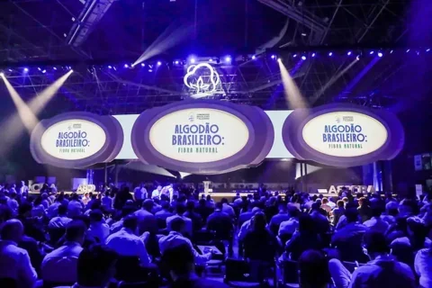 Produtores do Paraná participam de congresso do algodão