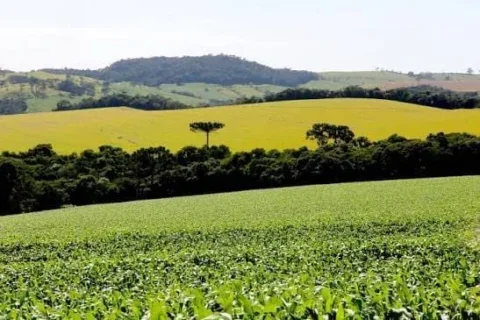 lavoura