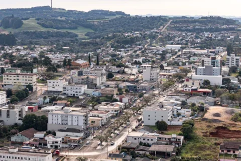 marmeleiro