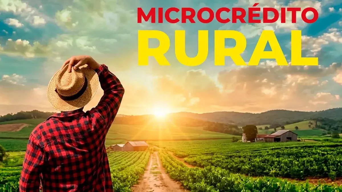 microcrédito rural palmas