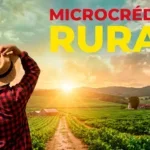 microcrédito rural palmas
