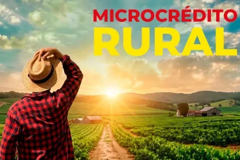 microcrédito rural palmas