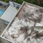 nova prata do iguaçu dengue