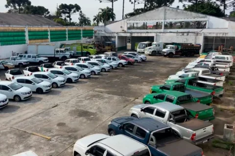 leilão