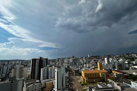 pato branco
