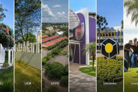 universidades estaduais