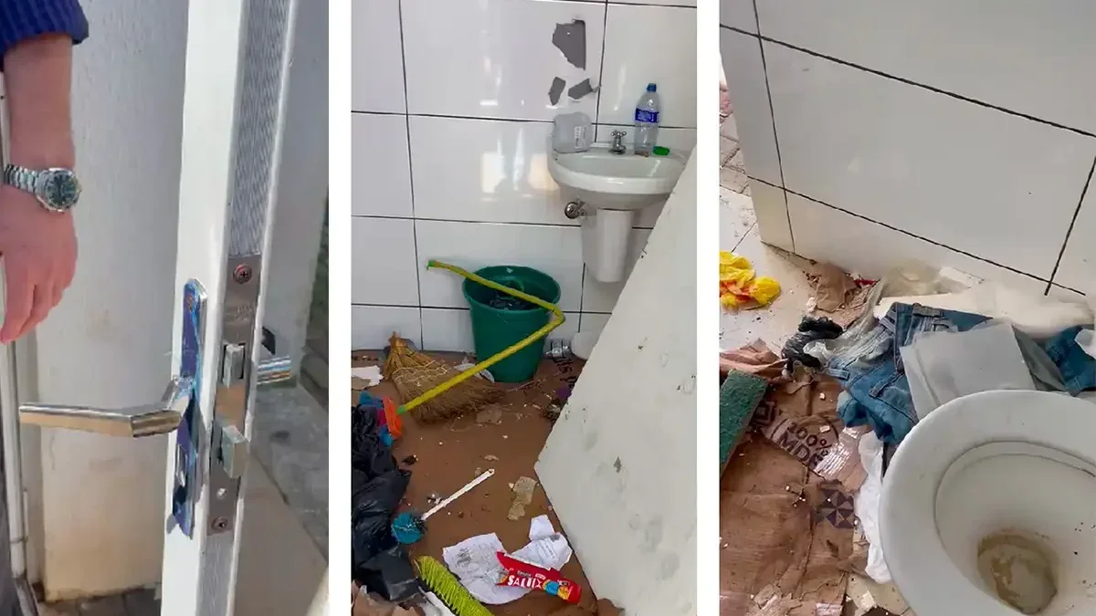 vandalismo palmas