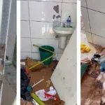 vandalismo palmas