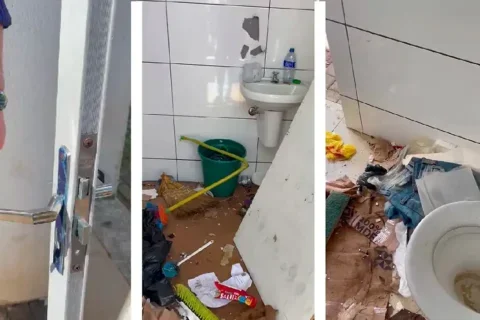 vandalismo palmas