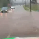 Rua José leonardi
