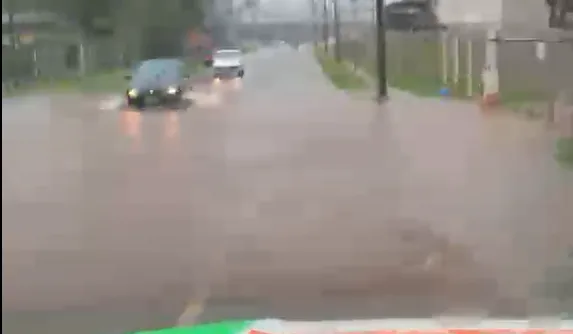 Rua José leonardi