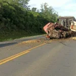 Colisão entre carretas mata motorista na BR-277 em Palmeira