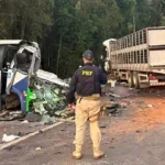 acidente onibus caminhão ipiranga