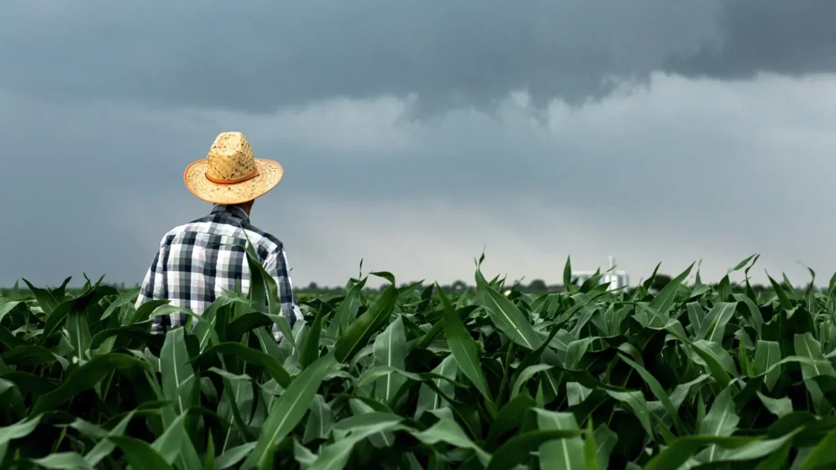 agricultor lavoura