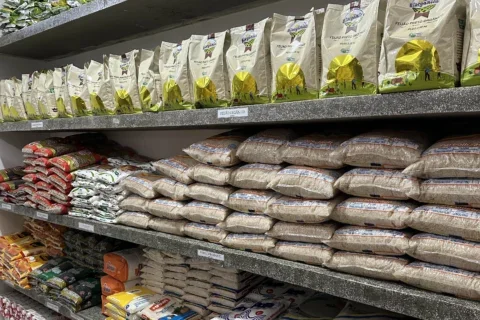 alimentos fundepar merenda