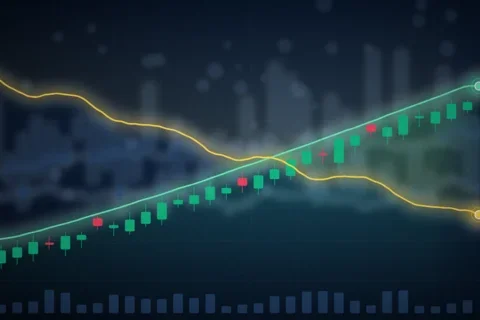 bolsa-dolar-ilustracao