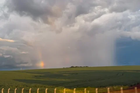 campo chuva