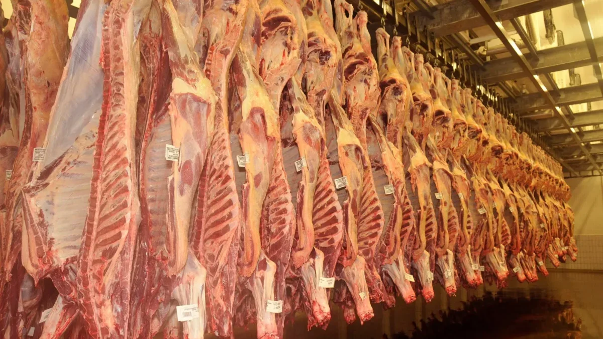 carne