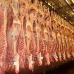 carne