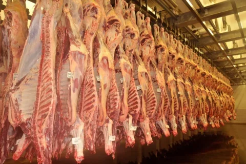carne