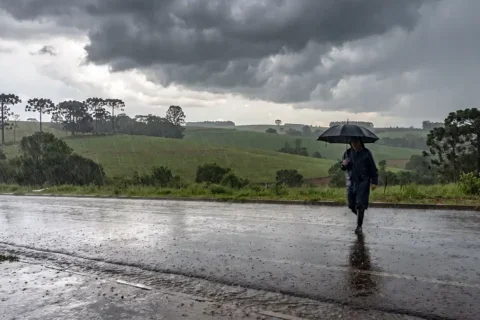 chuva paraná