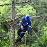 copel rede energia temporal