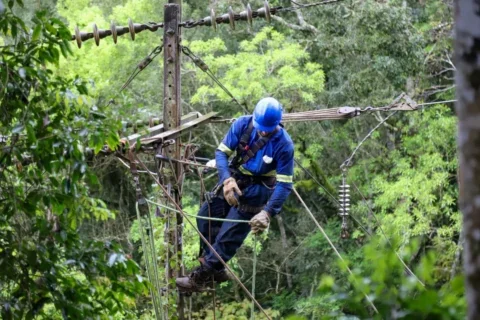 copel rede energia temporal