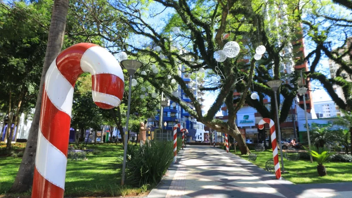 decoração de natal pato branco