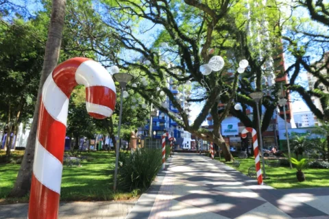 decoração de natal pato branco