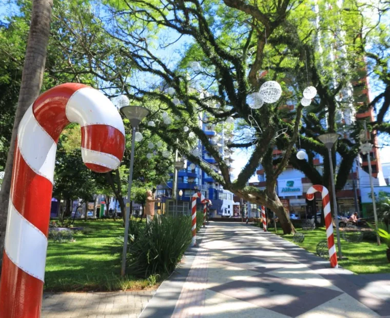 decoração de natal pato branco