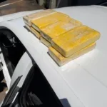 Denarc apreende 8,4 kg de cocaína em Francisco Beltrão