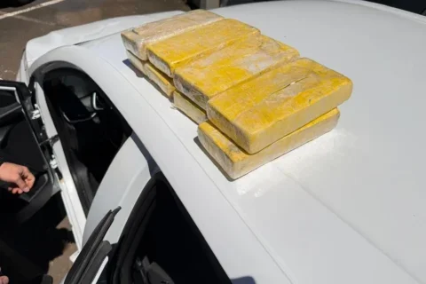 Denarc apreende 8,4 kg de cocaína em Francisco Beltrão