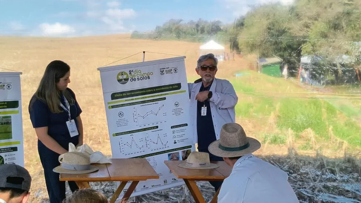 dia de campo