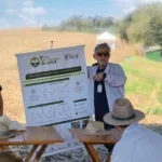 dia de campo