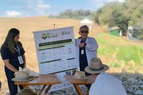 dia de campo