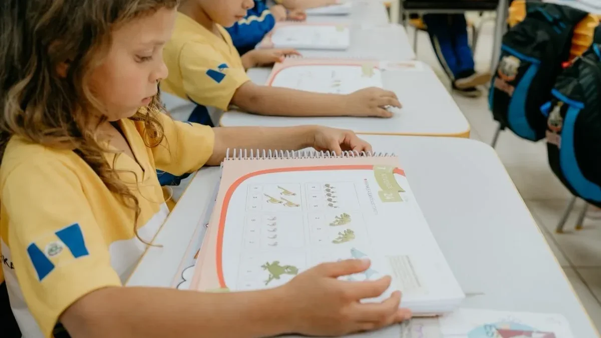 educação dois vizinhos