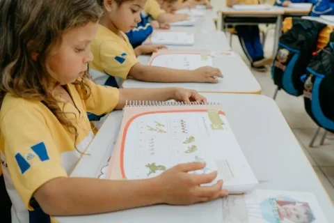 educação dois vizinhos