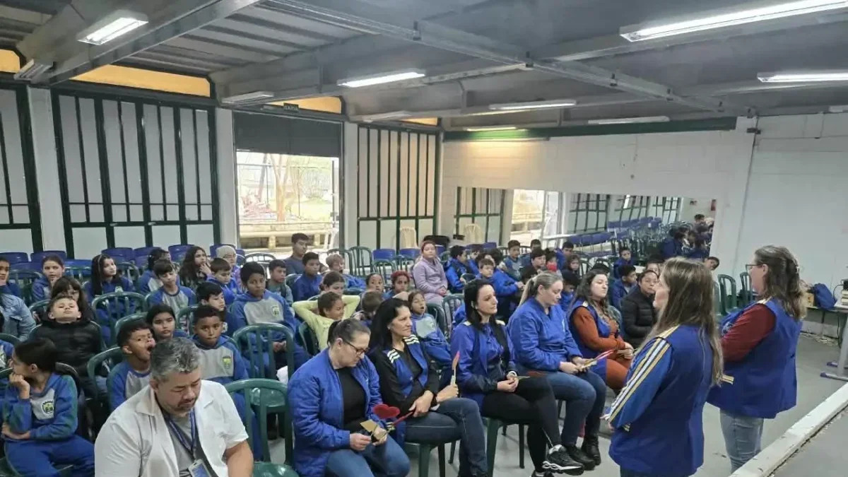 educação palmas