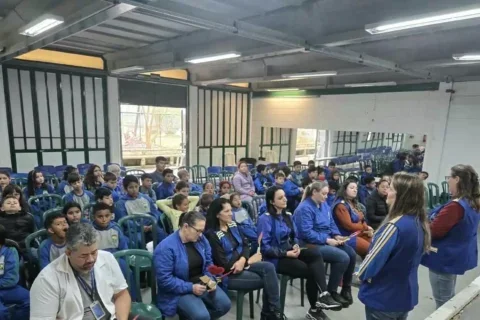 educação palmas