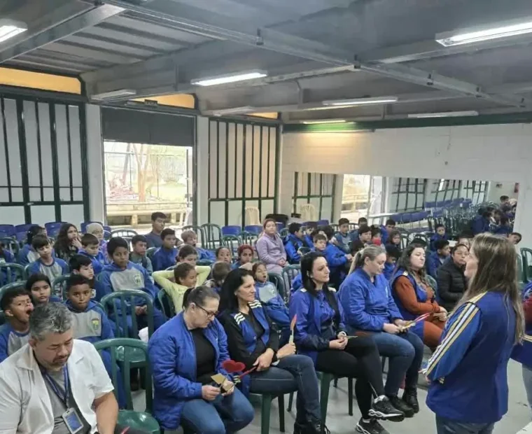 educação palmas