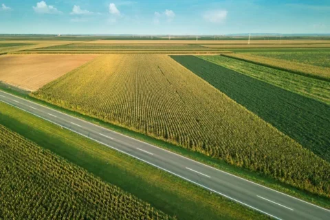 lavoura rodovia