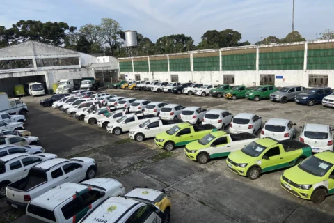 leilão veículos estado pr