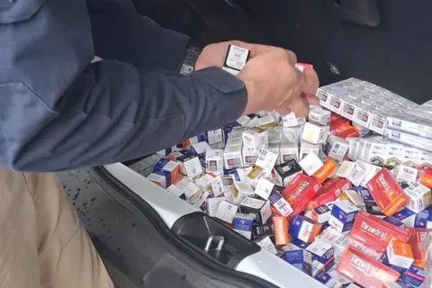medicamentos prf