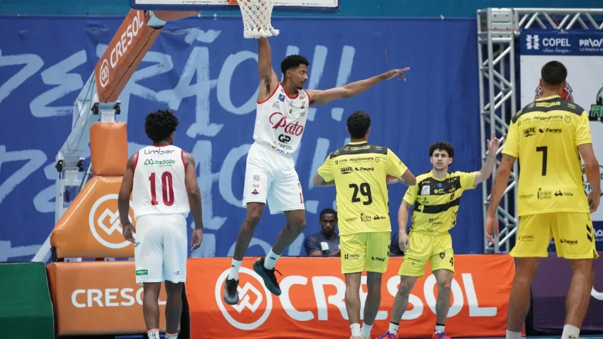 pato basquete
