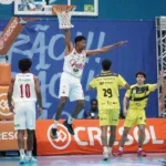 pato basquete