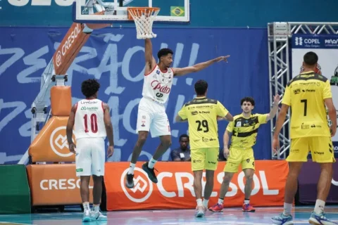 pato basquete