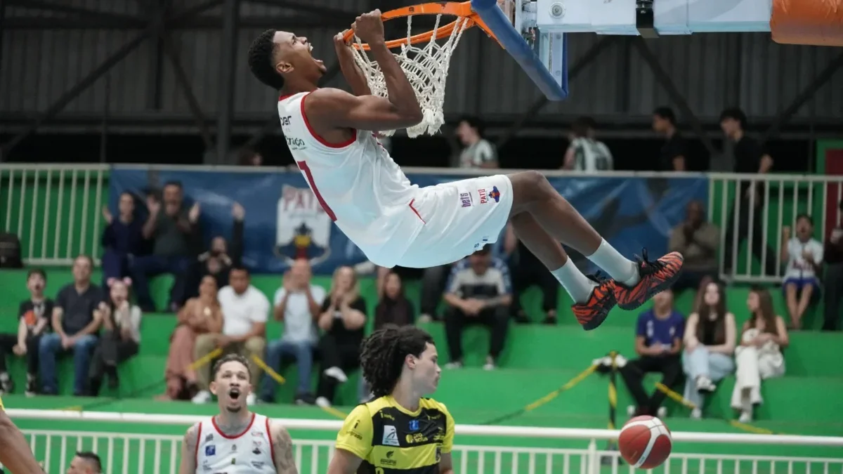 pato basquete