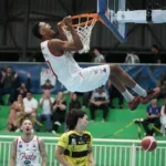 pato basquete