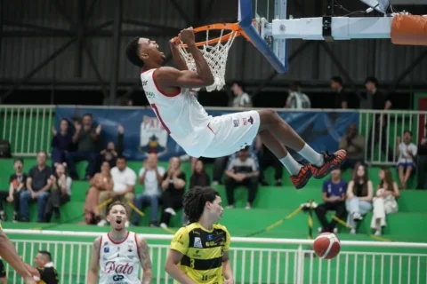 pato basquete