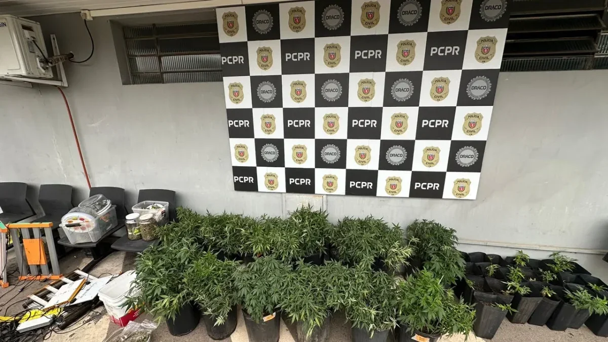 pcpr operação
